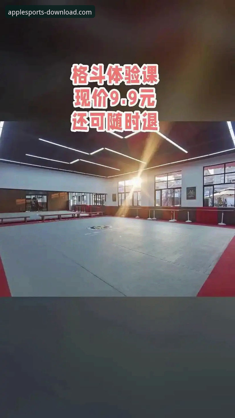 B体育官网下载最新动态：v2.1.3版本助力实现“随时随地玩”新体验